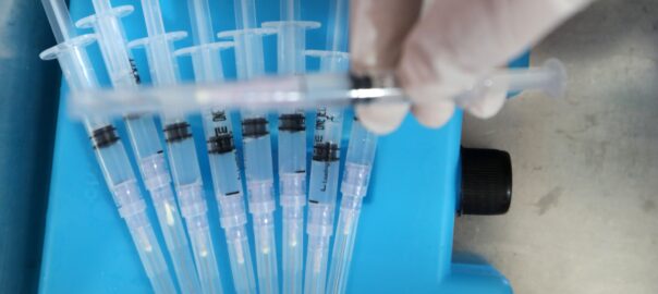 vaccins desenvolupats catalunya