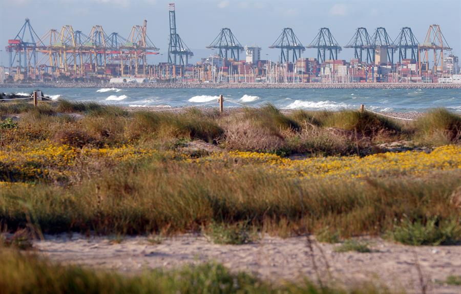 El port de València des de la platja d'el Saler. (Fotografia Kai Fösterling / EFE)