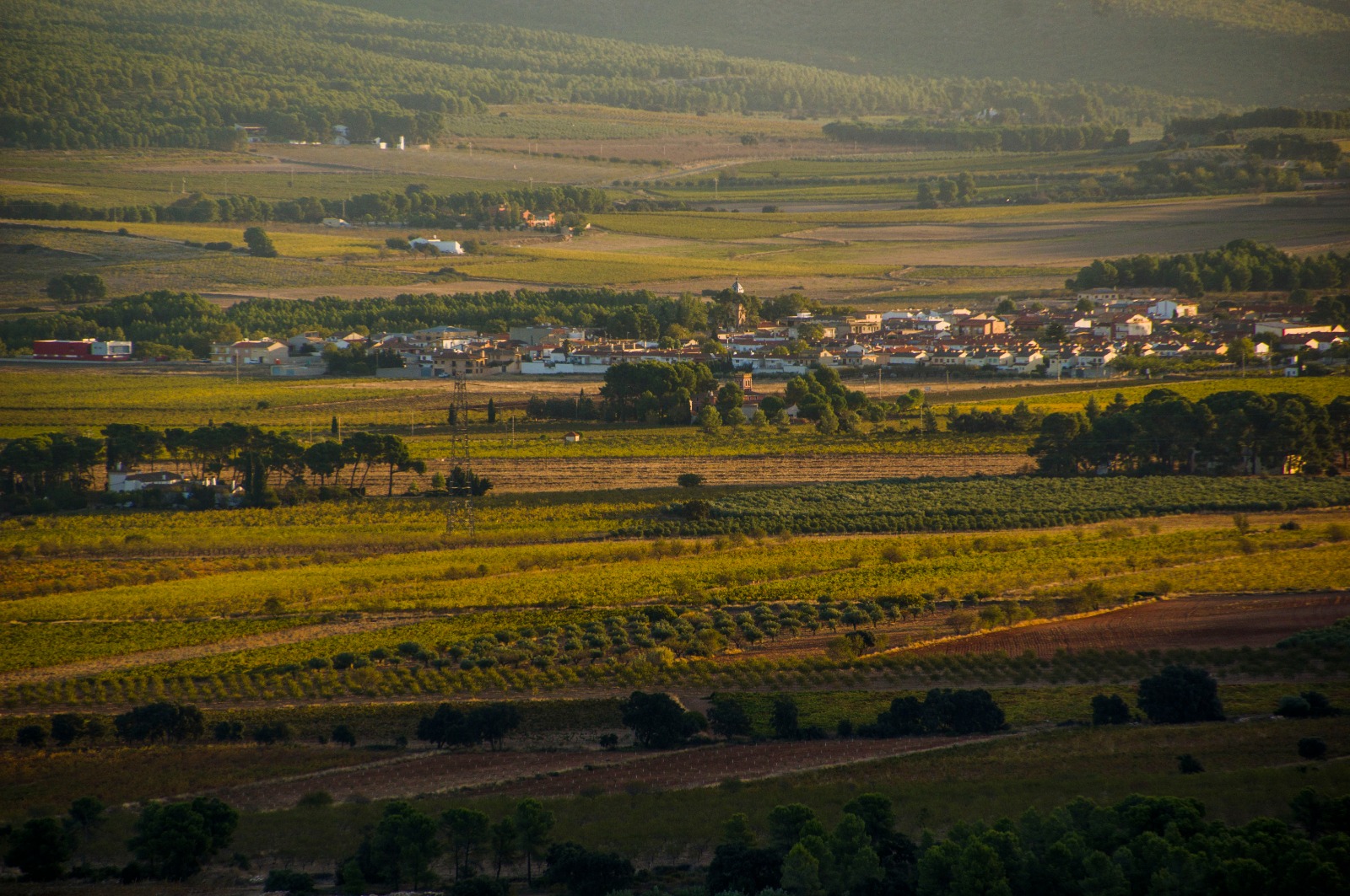 Vista del poble de Fontanars del Alforins. Foto: Miquel Francés.