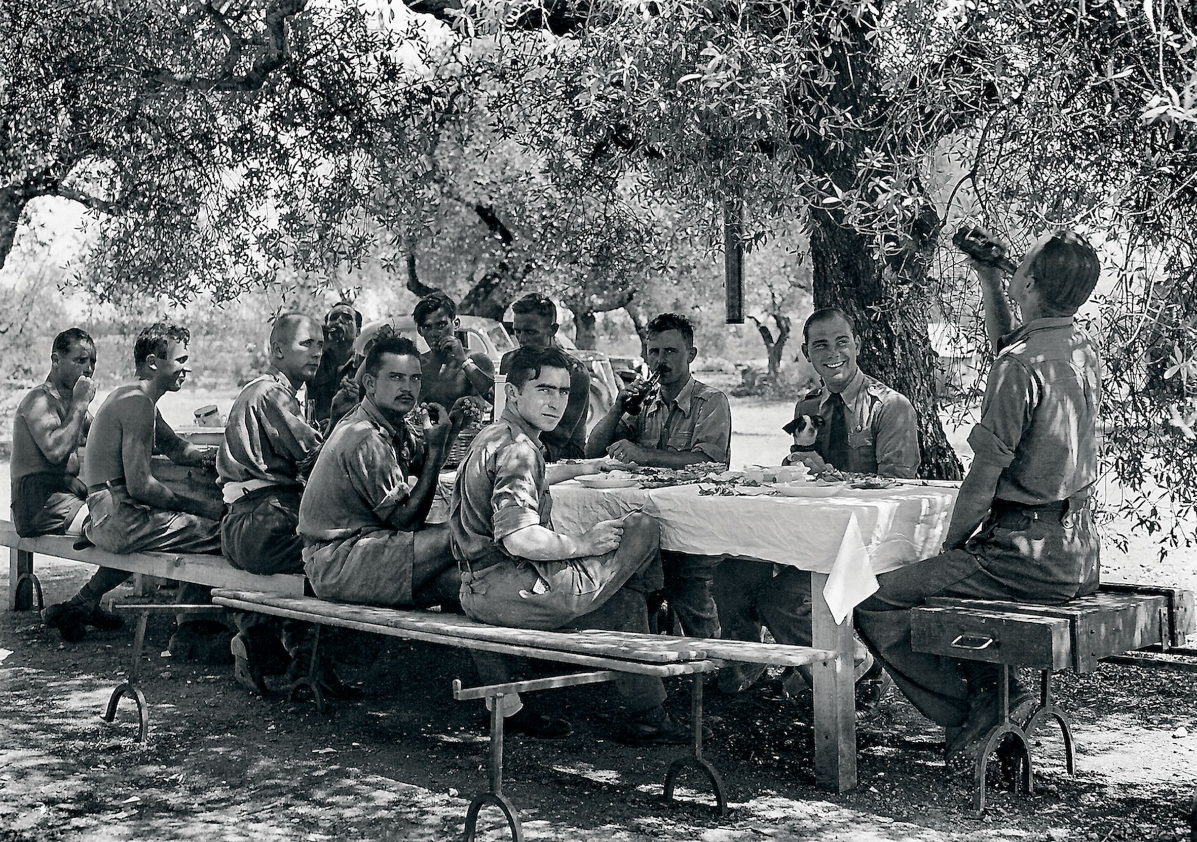 Membres de la Legió Còndor dinant sota una olivera a l'aeròdrom.