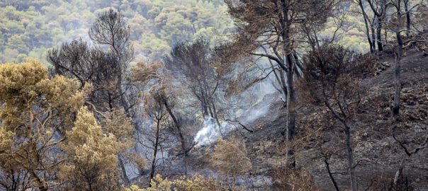 Pirineu Incendi Anoia