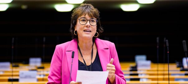 Eurocambra violència gènere