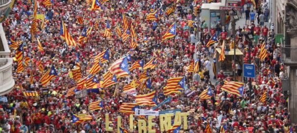 Fotografia: Electomania