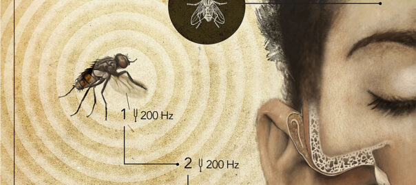 Il·lustració: Hugo Salais