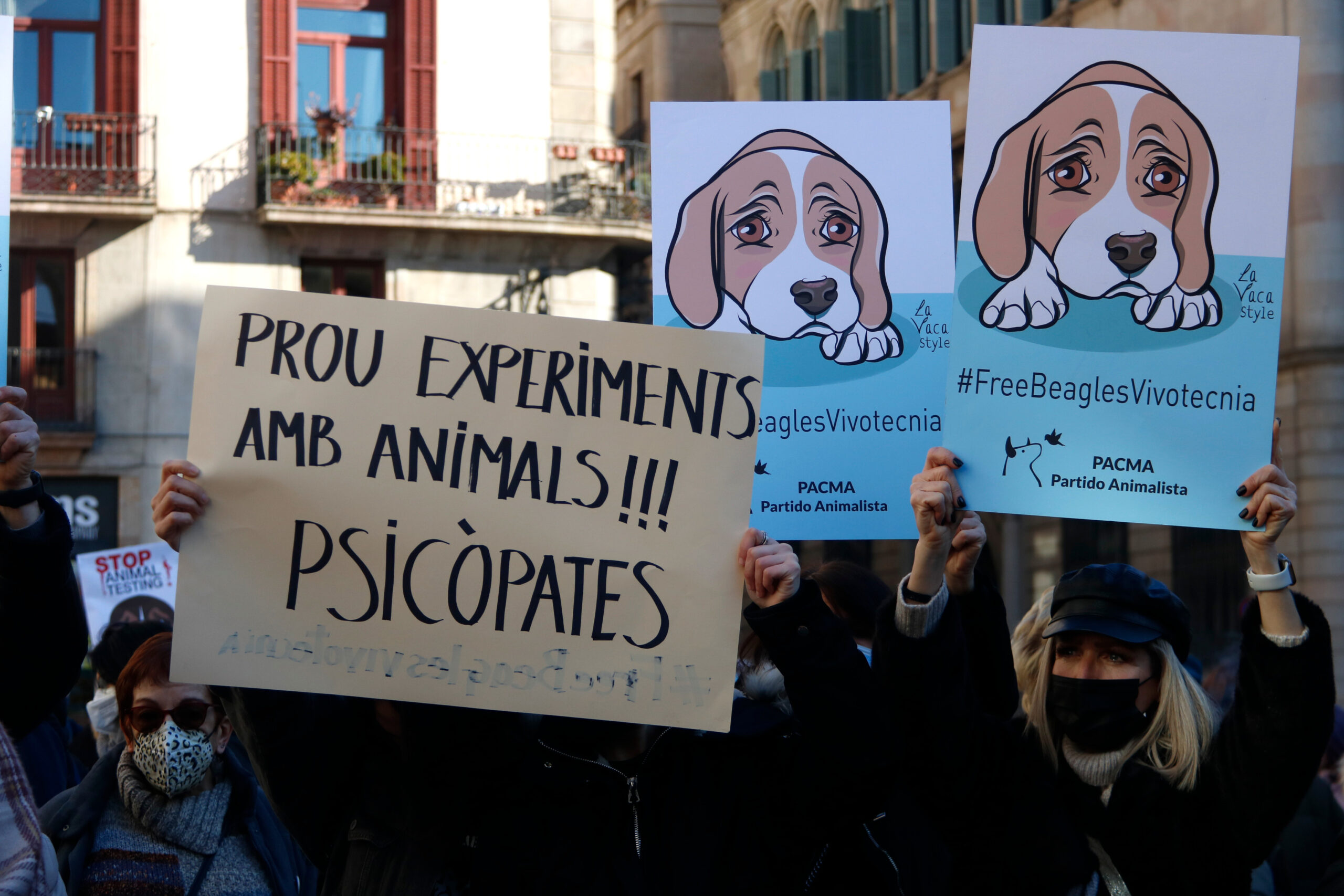 Fotografia: Protesta de PACMA contra l'experimentació i sacrifici de cadells