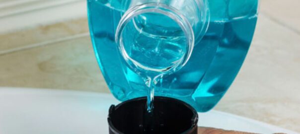 Luis Martínez Gil, Maria Jesús García-Murria, Manuel Sánchez del Pino, Ismael Mingarro (Fotografia: Universitat de València)