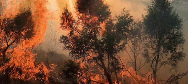 Foto: Consorci de Bombers de Castelló