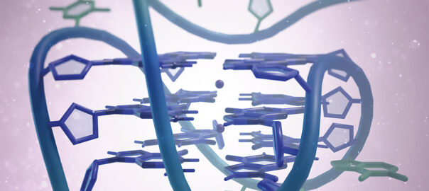 Més enllà de la doble hèlix, l’ADN pot presentar altres estructures com els G-quàdruplex, l’estudi dels quals ha proliferat en els darrers anys. En la imatge, representació d’aquesta estructura./ Xavi Sepúlveda