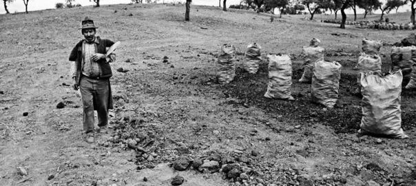 Fotografia: Jean-Marie del Moral.