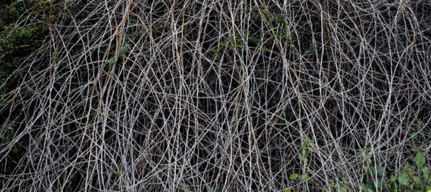 Fotografia: Jean-Marie del Moral.