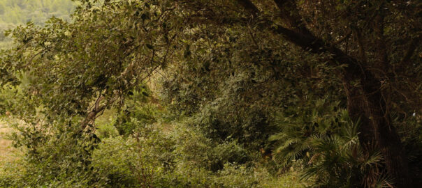 Fotografia: Jean-Marie del Moral.