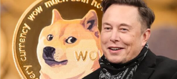 Les piulades de Musk han afectat molt la cotització de criptomonedes com ara bitcoin i dogecoin.