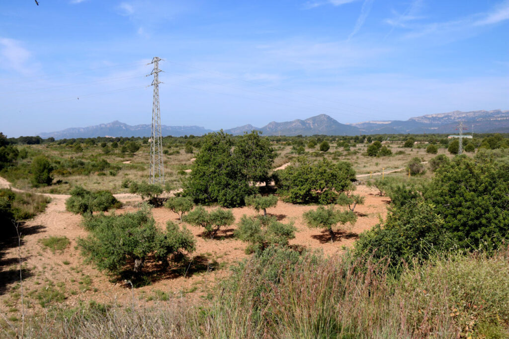 Revoltes de la Terra engega tres dies de mobilització ecologista contra la macroplanta de Lotte
