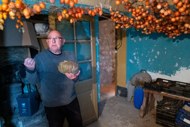 La memòria de les plantes