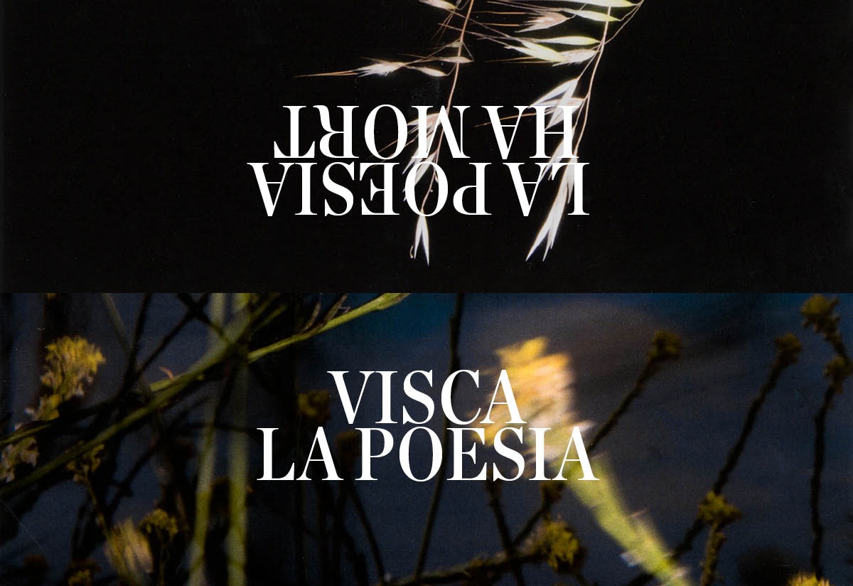 Cartell d'aquesta dissetena edició del festival Poesia i +.