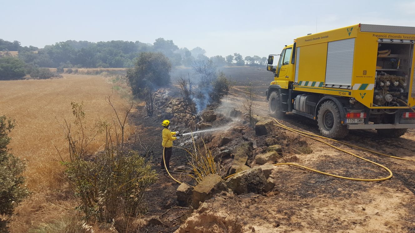Un voluntari de les ADF treballant en un incendi (fotografia: cedida a l'ACN pel Departament d'Acció Climàtica).