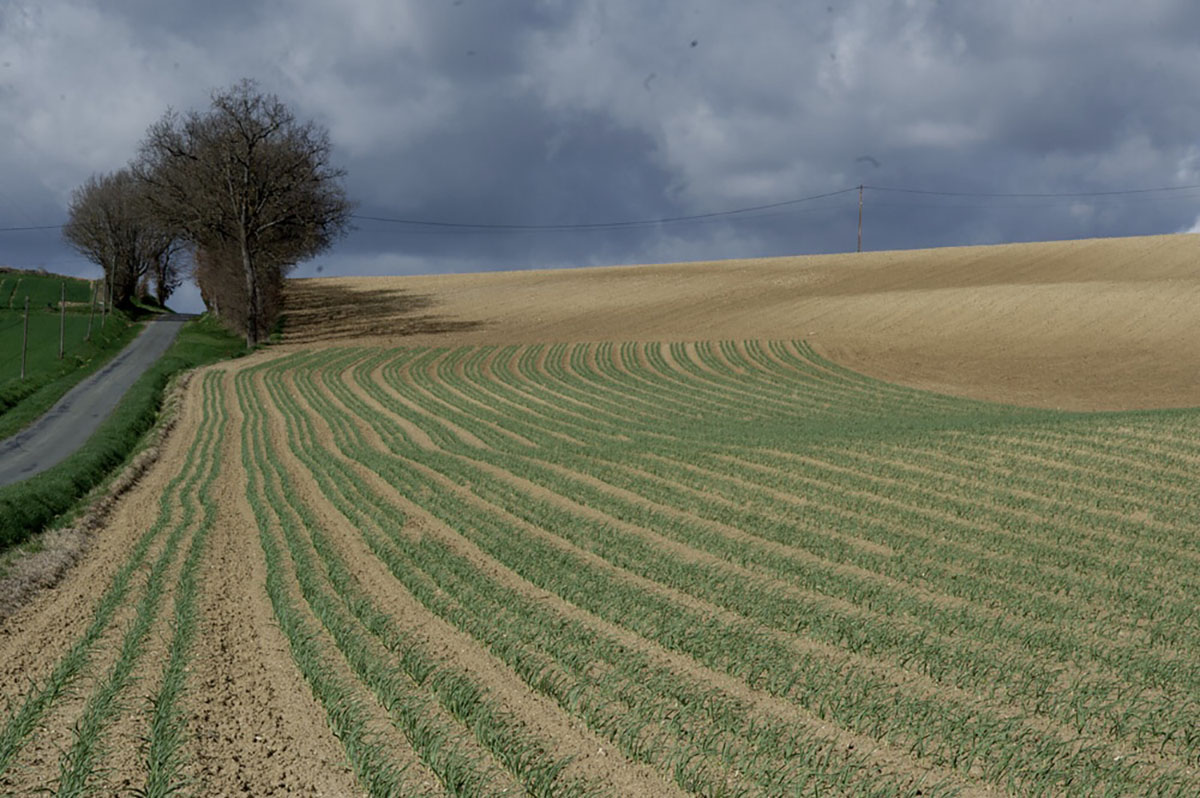 Fotografia: Jean-Marie del Moral.