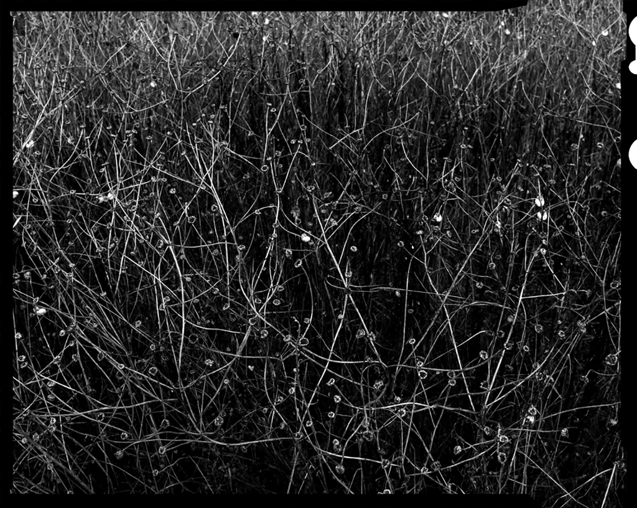 Fotografia: Jean-Marie del Moral.