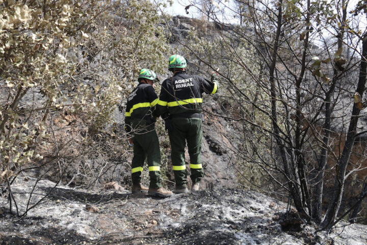 Investigadors dels Agents Rurals a la zona on va començar l'incendi de Baldomar, a la Noguera (Fotògraf: ACN/Salvador Miret)