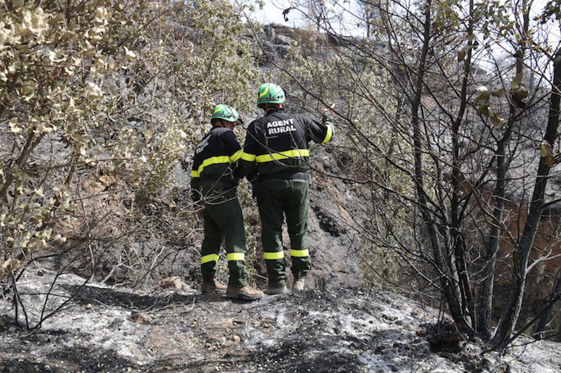 Investigadors dels Agents Rurals a la zona on va començar l'incendi de Baldomar, a la Noguera (Fotògraf: ACN/Salvador Miret)