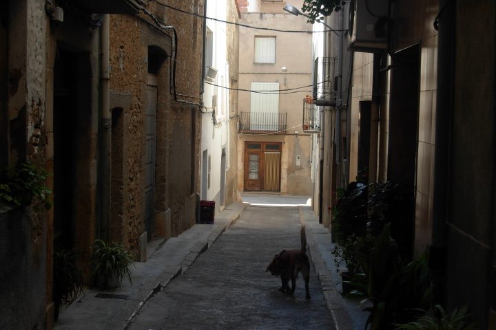 Imatge d'un carrer del centre de la Jana (Foto: Wikimedia)