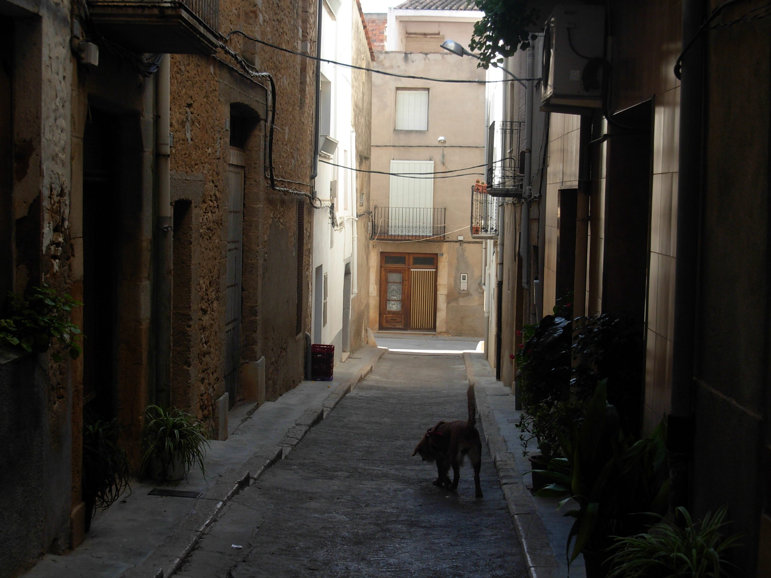 Imatge d'un carrer del centre de la Jana (Foto: Wikimedia)