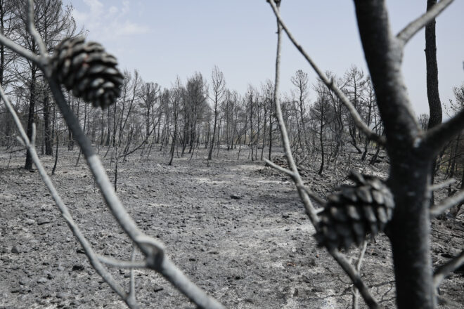 L’incendi de Venta del Moro es preveu que demà sigui estabilitzat