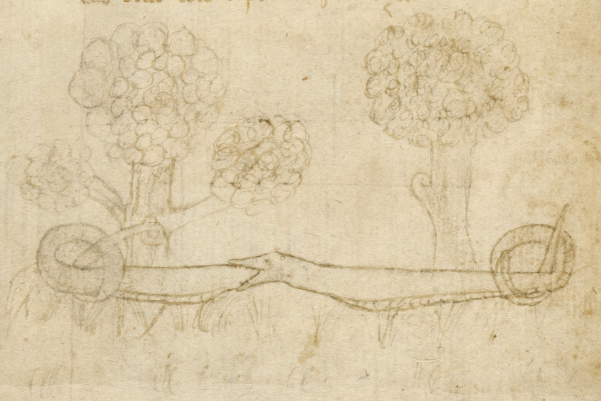 Fragment del Bestiari català 310 de la Biblioteca de Catalunya.