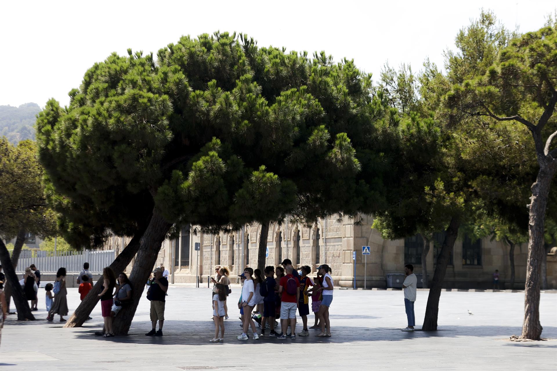 Un grup de gent amagant-se del sol a Barcelona durant aquest estiu