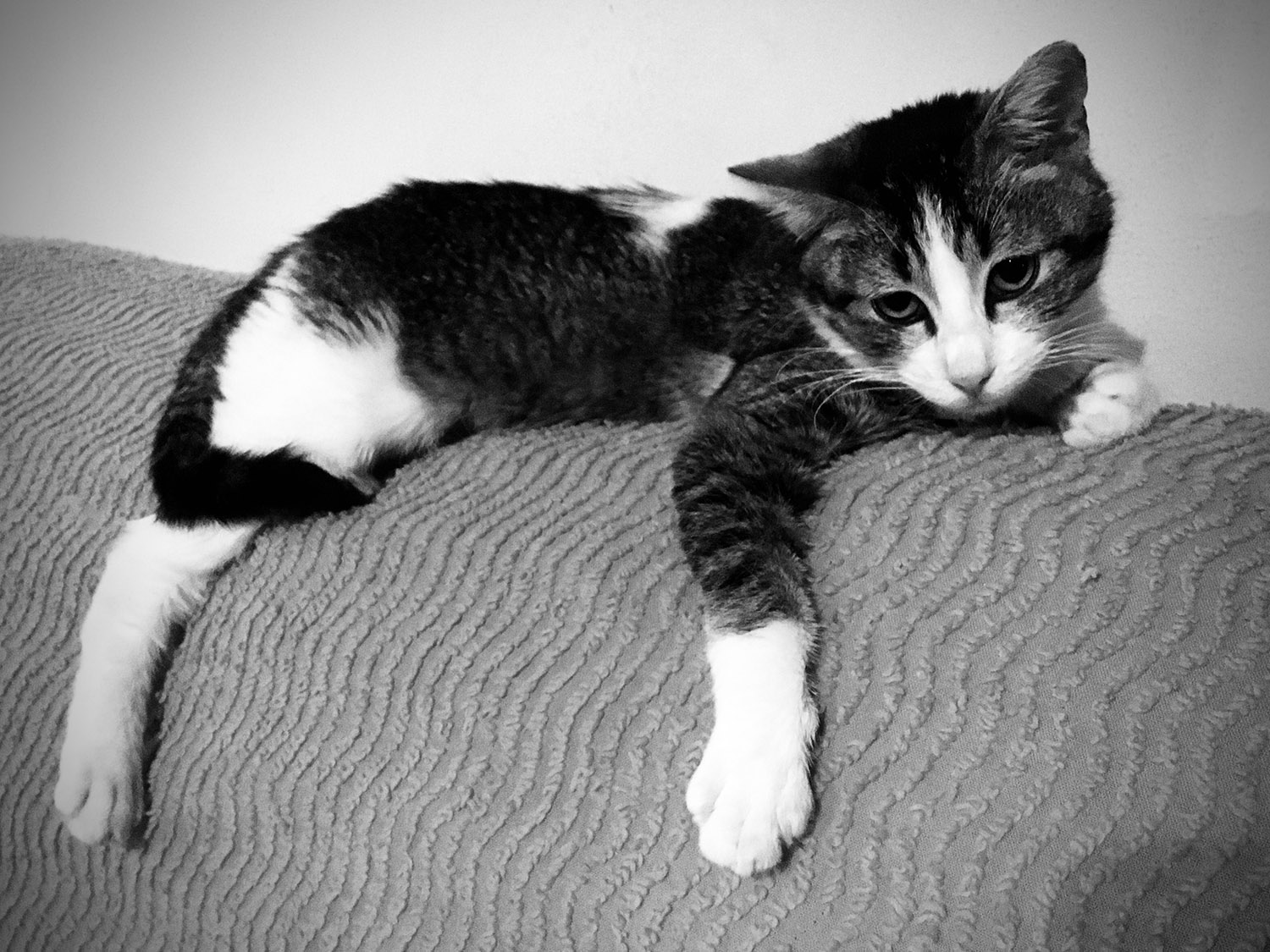 Fotografia: Jean-Marie del Moral.