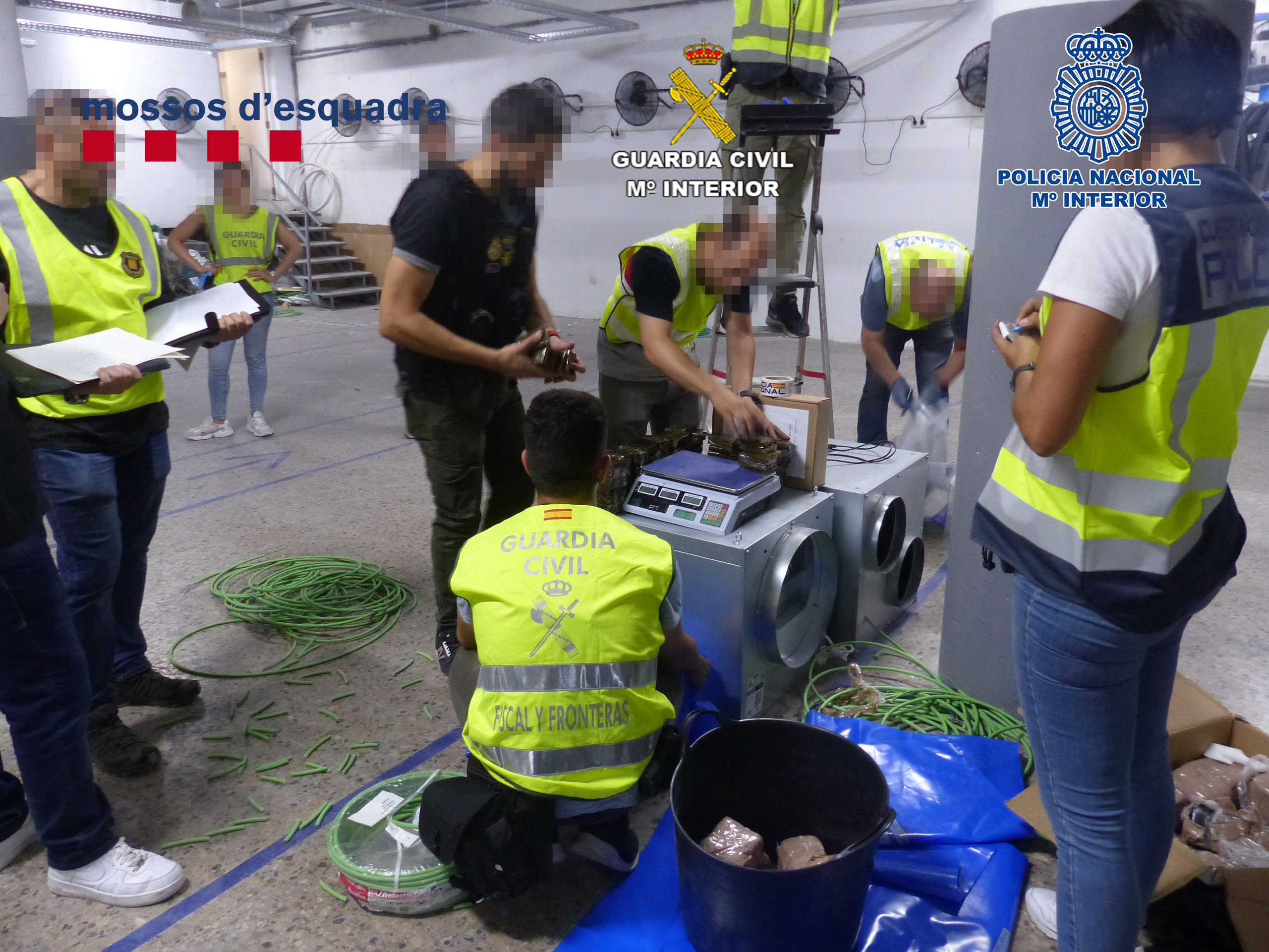 Imatge de la investigació, facilitada pel cos de Mossos d'Esquadra