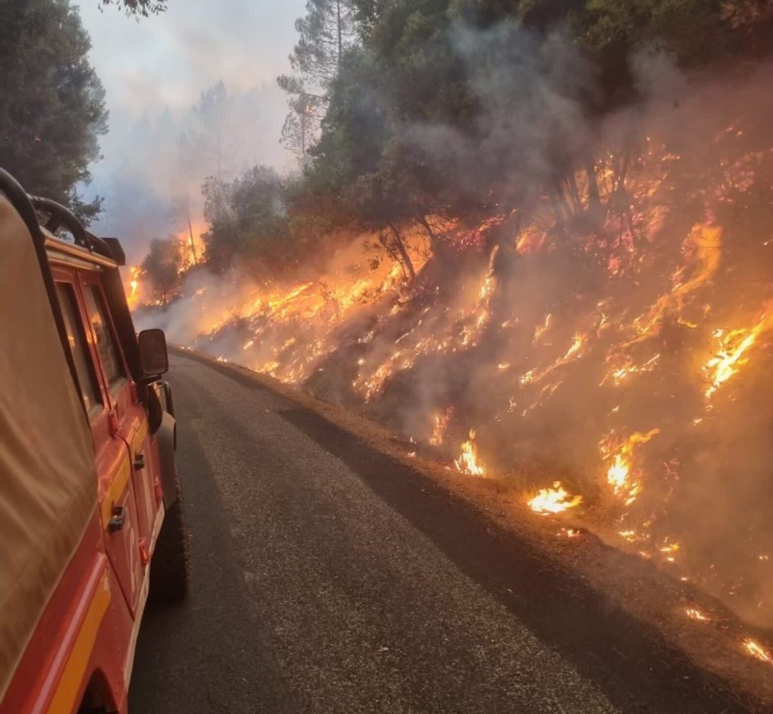 Fotografia: perfil oficial dels bombers dels Pirineus Orientals (@SDIS66)