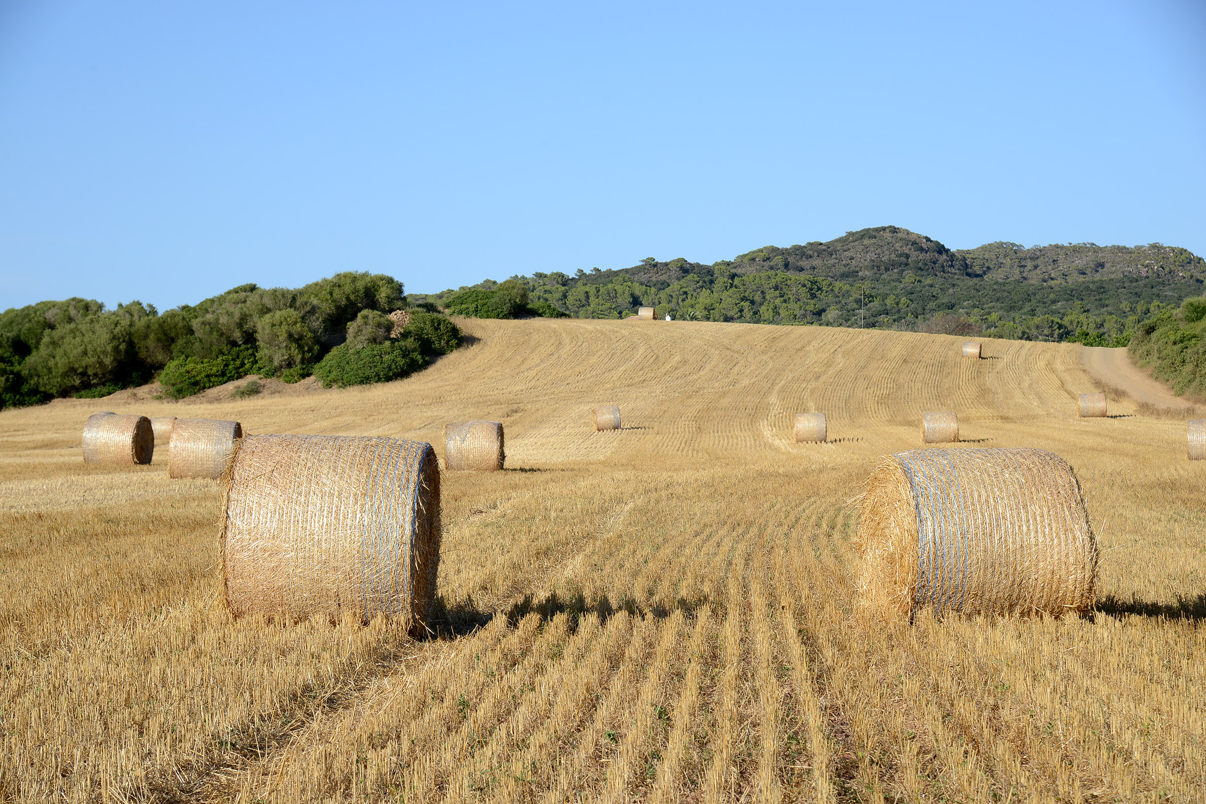 Bales de palla (fotografia: Prats i Camps).