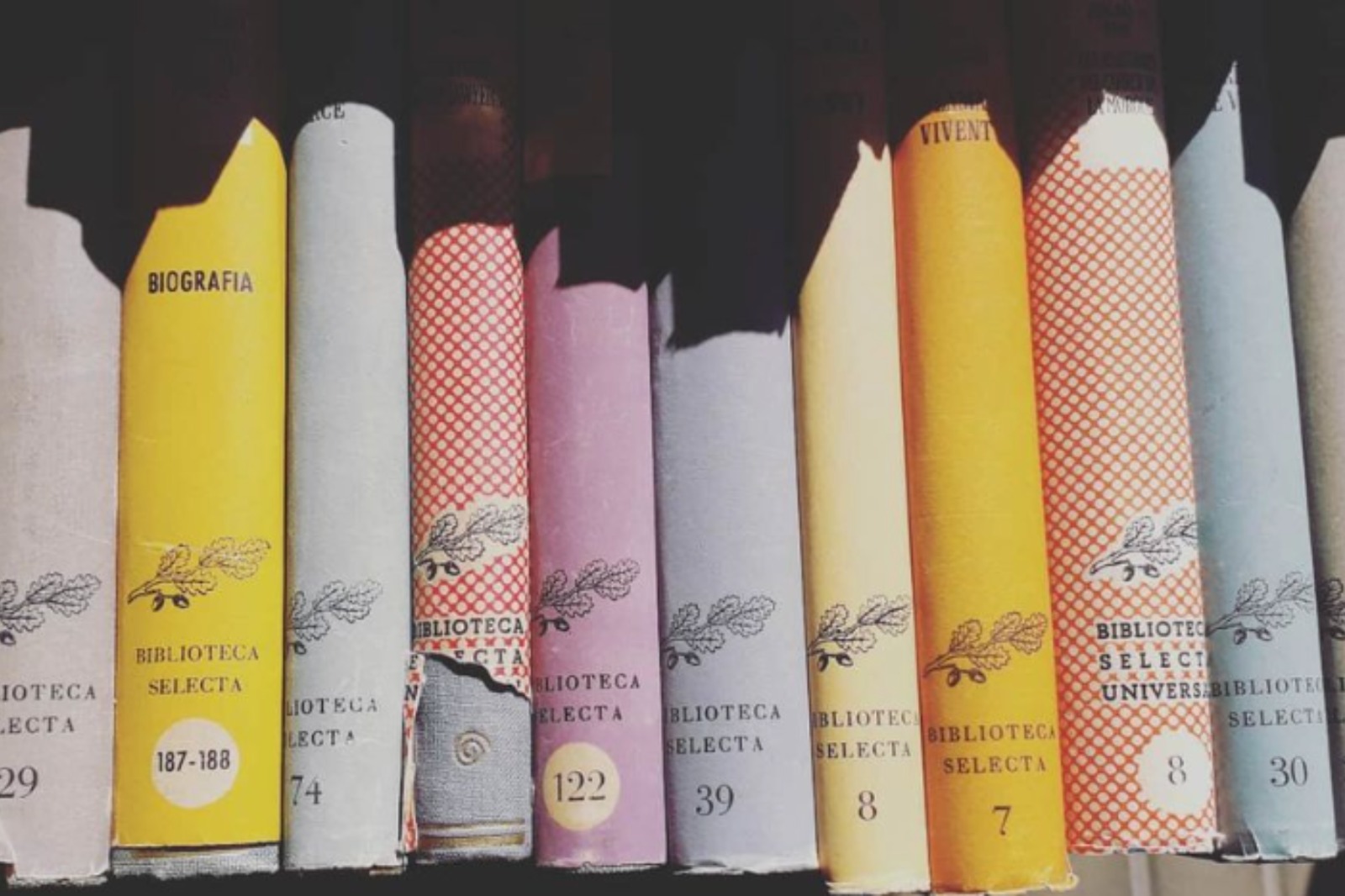 Estesa de lloms de la Biblioteca Selecta en una parada del Mercat de Sant Antoni.