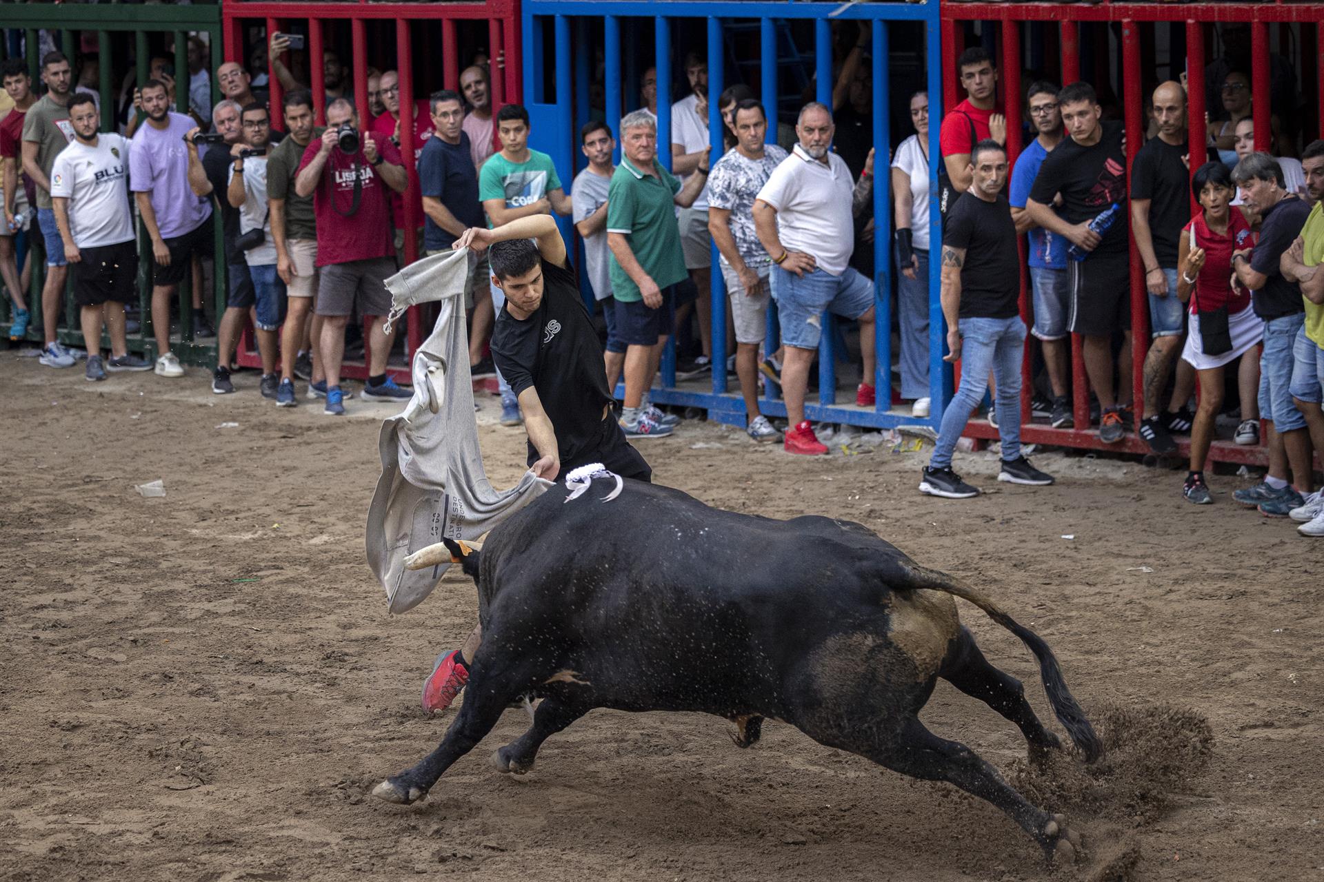 Una imatge d'arxiu d'una correguda de vaquetes