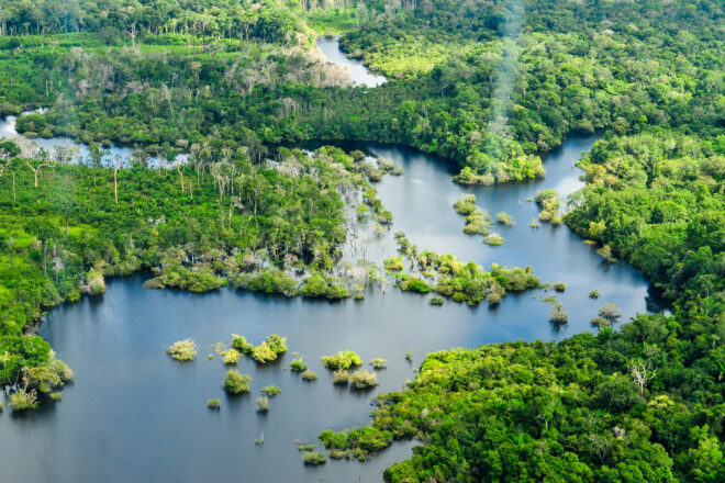 Destruir l’Amazònia, l’últim acte de servei del president Bolsonaro