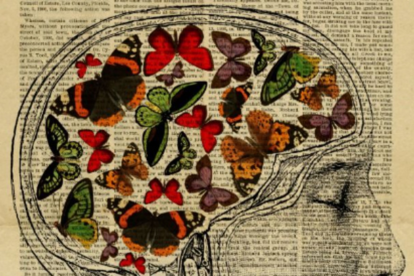 “Llegir no és resoldre enigmes, és més aviat... enlairar-se” (collage de ZikkiArt).