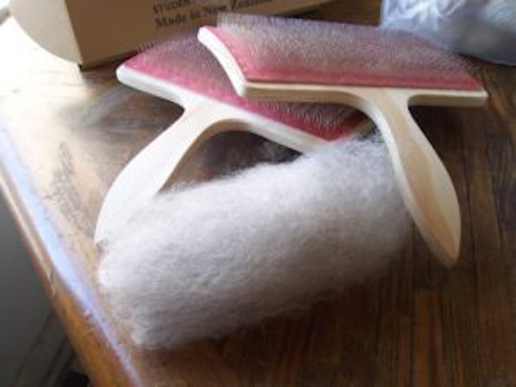 Fotografia: Ryj (Viquipèdia).