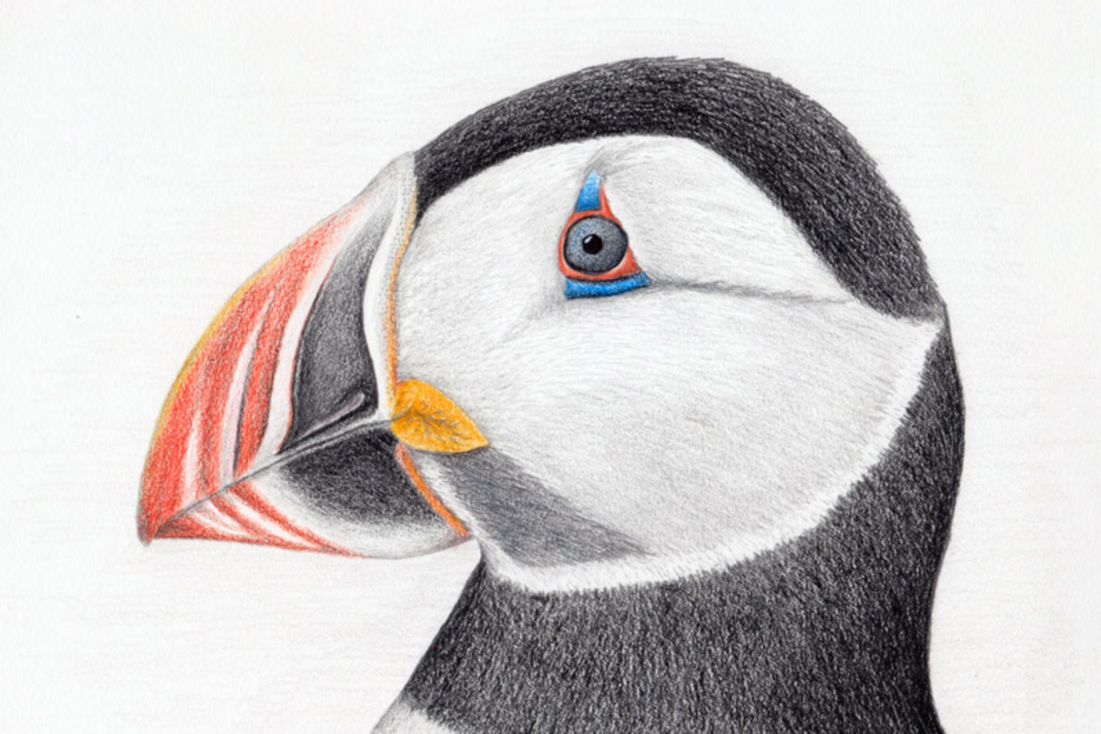 Il·lustració de Terry Sohl