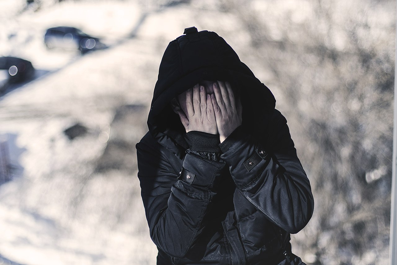 Fotografia: Wikimedia Commons