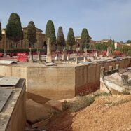 Troben dinou cossos més a les fosses comunes de Son Coletes