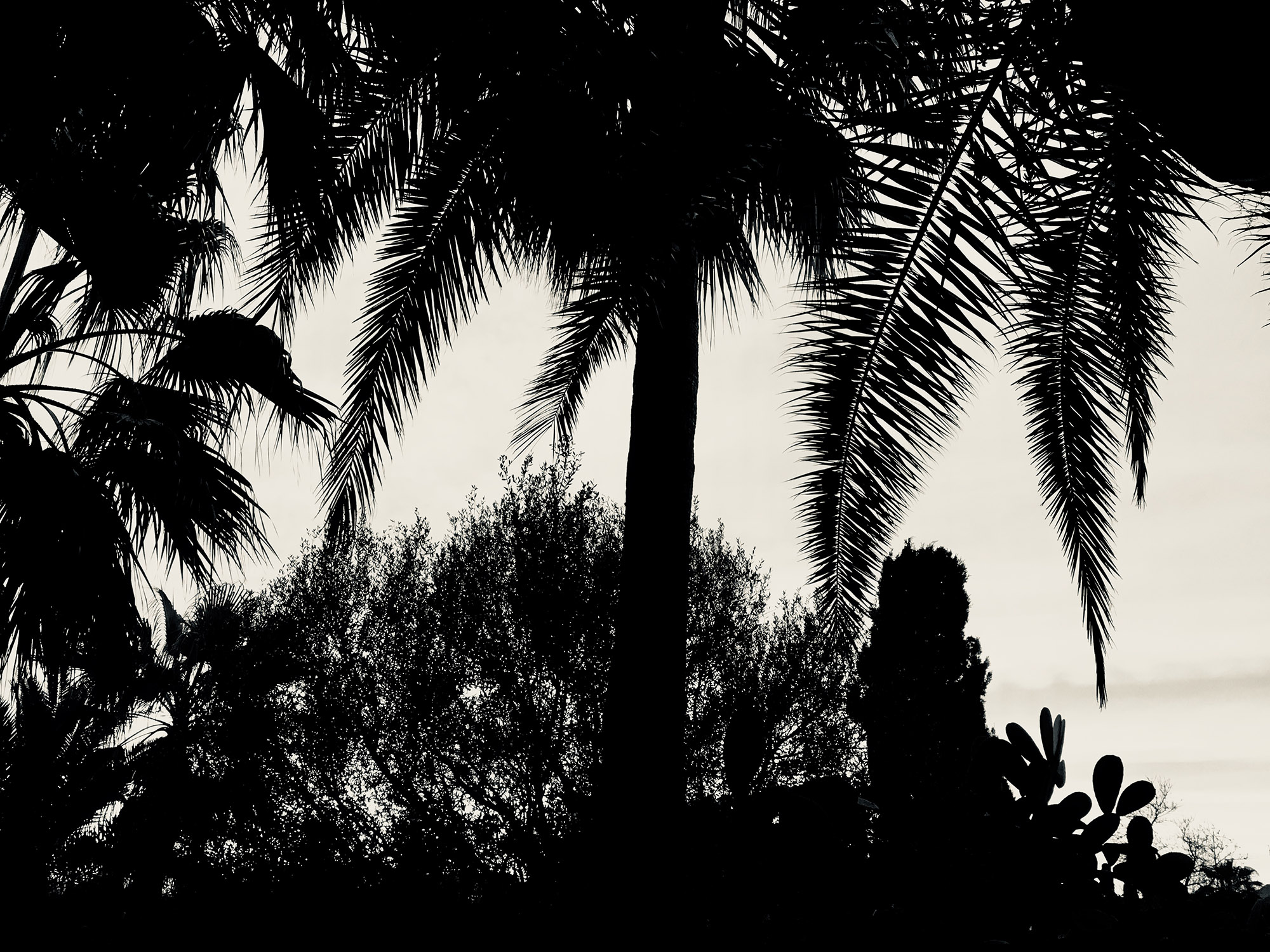 Fotografia: Jean-Marie del Moral.