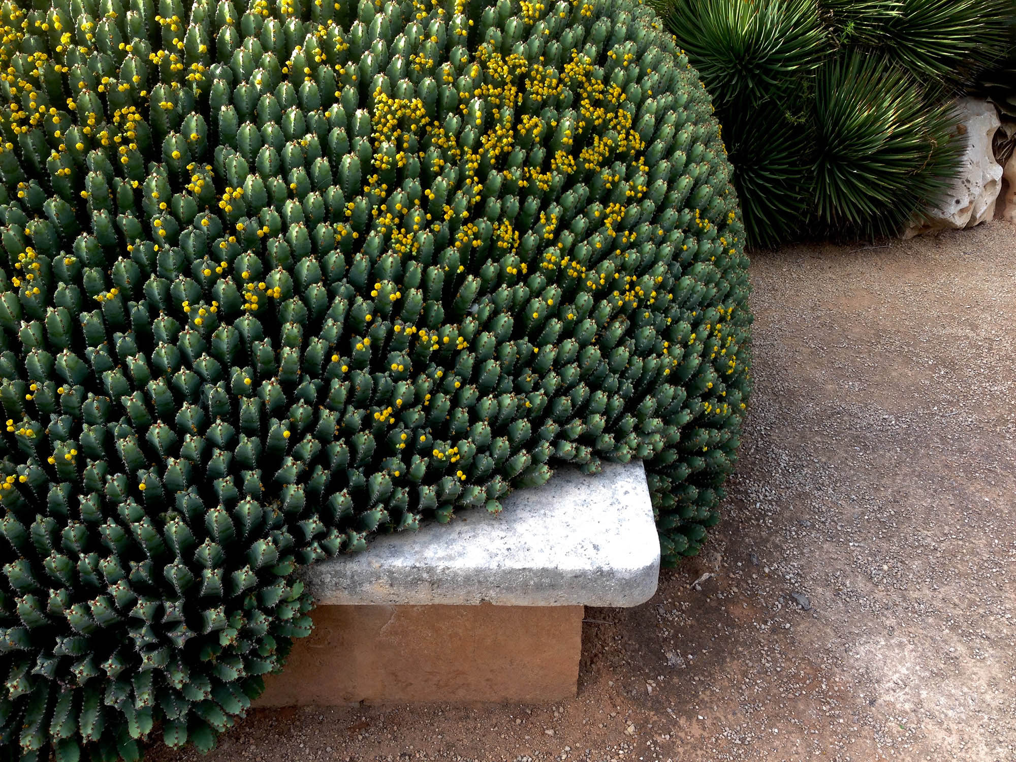 Fotografia: Jean-Marie del Moral.