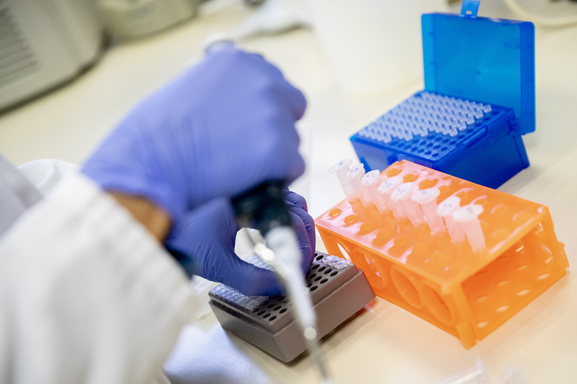 Imatge d'arxiu d'un laboratori