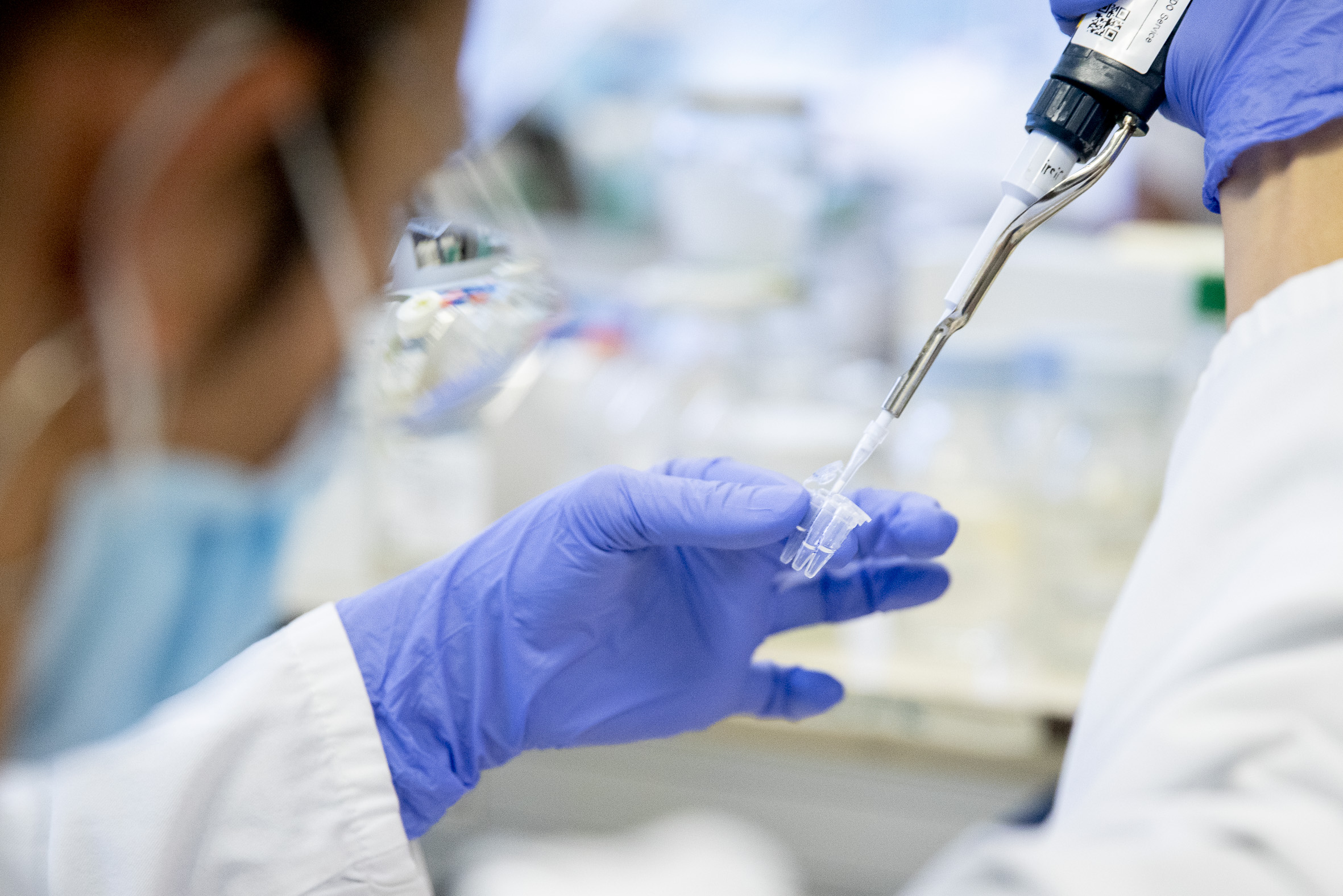 Imatge d'arxiu d'una laboratori