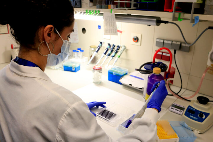 Una investigadora treballant al laboratori (fotografia: ACN/Laura Fíguls)