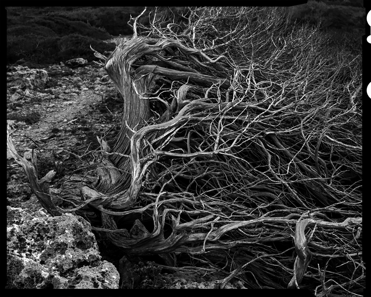 Fotografia: Jean-Marie del Moral.