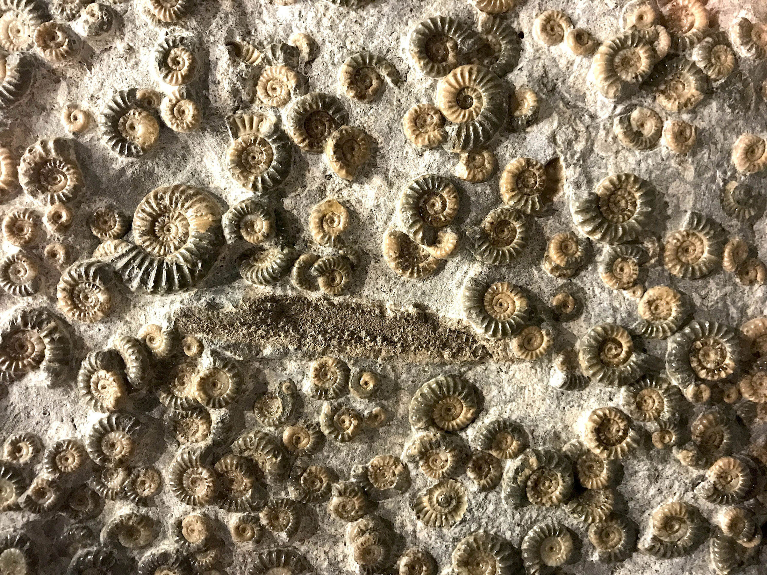 Fotografia: Gabi Scott / Unsplash.