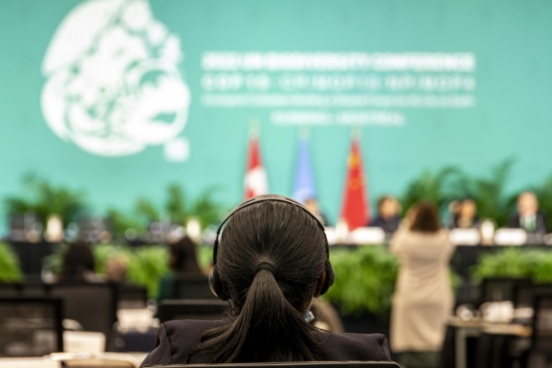 La sala de conferències de la cimera de l'ONU sobre la biodiversitat que s'ha fet a Mont-real