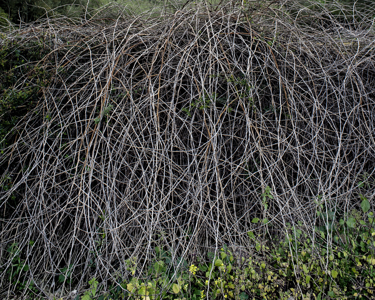 Fotografia: Jean-Marie del Moral.